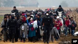 在警察的陪同下,难民们穿过斯洛文尼亚的边界(2015年10月27日)。