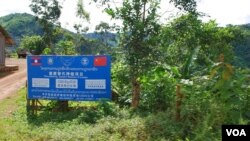 中国和老挝政府联合推出的罂粟替代种植项目。(美国之音朱诺拍摄,2013年8月11日)