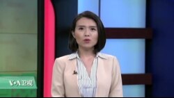 VOA连线:共享单车OFO小黄车进驻华盛顿 VOA连线:共享单车OFO小黄车进驻华盛顿