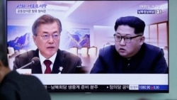 韩朝峰会特别报道:文金会能否缔造朝鲜半岛的永久和平? 韩朝峰会特别报道:文金会能否缔造朝鲜半岛的永久和平?