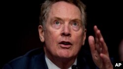 美国贸易代表莱特希泽在听证会上发言。(2020年6月17日)