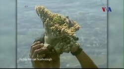 Ngư dân Philippines tìm kiếm sự giúp đỡ của LHQ chống lại TQ Ngư dân Philippines tìm kiếm sự giúp đỡ của LHQ chống lại TQ