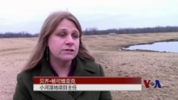 亚洲鲤鱼的威胁：停止外来物种入侵五大湖区