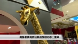 美国老牌高档玩具店在纽约卷土重来 美国老牌高档玩具店在纽约卷土重来