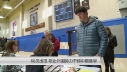 议员出招 防止外国势力干预中期选举 议员出招 防止外国势力干预中期选举