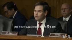 鲁比奥参议员在听证上向蒂勒森提问 鲁比奥参议员在听证上向蒂勒森提问
