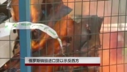 俄罗斯销毁进口货以示反西方 俄罗斯销毁进口货以示反西方