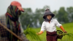 မြန်မာနိုင်ငံ ရေအရင်းအမြစ် အစီအမံ မြန်မာနိုင်ငံ ရေအရင်းအမြစ် အစီအမံ