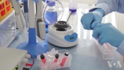 遗传学家利用基因族谱帮助破案 遗传学家利用基因族谱帮助破案