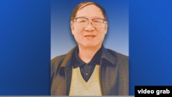 美国之音卫视介绍对胡德华的专访时所用的画面(2016年4月11日)