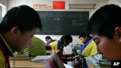 北京郊区一所农村小学校的学生在学习。(资料照片)