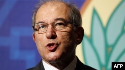 禁止化学武器组织总干事尤祖姆居 (资料照片)