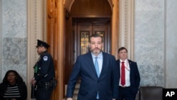 美国国会参议员泰德·克鲁兹(2020年2月4日)