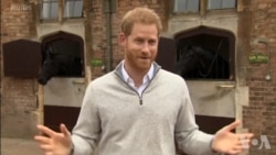 英国王室添丁 梅根王妃诞下小王子 英国王室添丁 梅根王妃诞下小王子