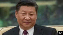 中国国家主席习近平(资料照片)