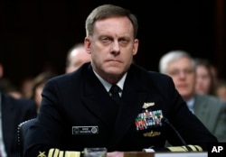 国家安全局局长罗杰斯将军在参议院情报委员会作证。(2017年6月7日)