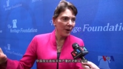 瑞洁:中国继续执行计划生育的真正原因是以控制人口为由对社会进行掌控 瑞洁:中国继续执行计划生育的真正原因是以控制人口为由对社会进行掌控