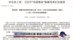 时事大家谈:红二代团拜赞反腐,擎旗已有后来人? 时事大家谈:红二代团拜赞反腐,擎旗已有后来人?