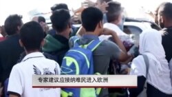 专家建议应接纳难民进入欧洲 专家建议应接纳难民进入欧洲