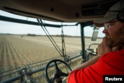 资料照:美国印地安纳州的农场主保罗·霍根在驾驶收割机收获大豆。这是中国从美国大批量购买的农产品之一。(2019年11月8日)