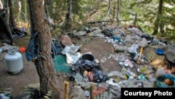 非法大麻种植场严重污染环境