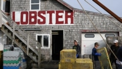 美国缅因州的一个龙虾加工作坊(路透社2017年7月7日)