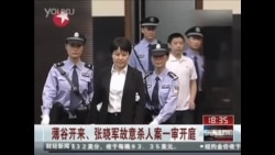 枉称世纪过堂 实为政治双簧