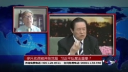 时事大家谈:多只老虎被开除党籍,习近平反腐出重拳? 时事大家谈:多只老虎被开除党籍,习近平反腐出重拳?