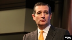 美国国会共和党参议员、总统大选参选人克鲁兹 (美国之音记者杨晨拍摄)