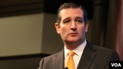 美国国会共和党参议员、总统大选参选人克鲁兹 (美国之音记者杨晨拍摄)