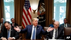 美国总统特朗普在华盛顿白宫内阁会议上发表讲话 (2019年7月16日)。