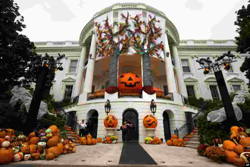 白宫装饰着橘黄色大南瓜，准备迎接参加万圣节前夜活动的特别来宾(2014年10月31日)。