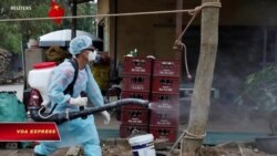 Hàn Quốc khuyên công dân không tới Việt Nam vì virus corona Hàn Quốc khuyên công dân không tới Việt Nam vì virus corona