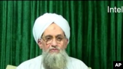 资料图:基地组织领导人扎瓦希里。