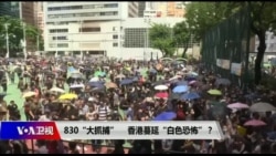 海峡论谈:830“大抓捕” 香港蔓延“白色恐怖”? 海峡论谈:830“大抓捕” 香港蔓延“白色恐怖”?
