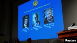 在瑞典斯德哥尔摩举行的新闻发布会上宣布2017年诺贝尔生理学奖或医学奖得主为杰弗里·霍尔(Jeffrey Hall),迈克尔·罗斯巴什(Michael Rosbash)和迈克尔·杨(Michael Young)(2017年10月2日)