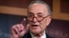 Senator Chuck Schumer, ketua fraksi minoritas Demokrat di Senat AS (foto: dok). 