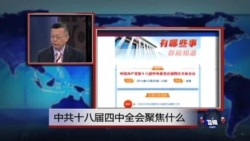 媒体观察:中共18届4中全会聚焦什么 媒体观察:中共18届4中全会聚焦什么