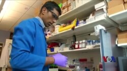 个性化疫苗可以预防多种疾病 个性化疫苗可以预防多种疾病