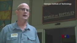 新科技：会蛇行的机器人