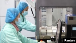 位于云南昆明的中国华大基因集团实验室的科技人员在工作。(2018年12月26日)