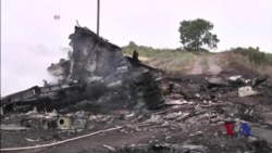 国际社会呼吁彻底调查马航坠机事件 国际社会呼吁彻底调查马航坠机事件