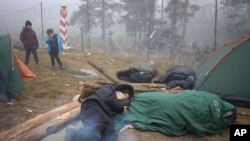 Мігранти на білорусько-польському кордоні 11 листопада 2021 р.