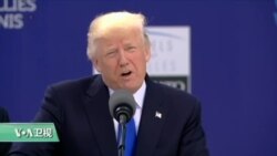 VOA连线：川普总统称共同反恐并要求北约公平分担经费