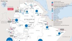 ኣብ ከተማ ዳባት 5 ኤርትራውያን ስደተኛታት ተኣሲሮም