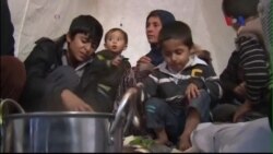 Ân Xá Quốc tế: 2014 là năm ‘thảm họa’ cho hàng triệu người Ân Xá Quốc tế: 2014 là năm ‘thảm họa’ cho hàng triệu người