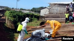 在利比里亚弗里敦,卫生工作者把一名死于埃博拉的妇女的遗体移走。(2014年10月14日)