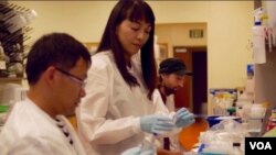 金海翎与研究团队(美国之音国符拍摄)