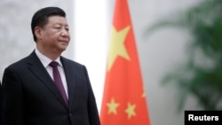 中国国家主席习近平在北京人大会堂。(2018年12月10日)