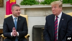 美国总统特朗普（右一）在白宫会见斯洛伐克总理佩莱格里尼（左一）。（2019年5月3日）